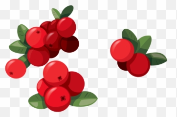 Hd Red Fruit Png Image Free Download - Red Berries Clipart,Fruit Clipart Png
