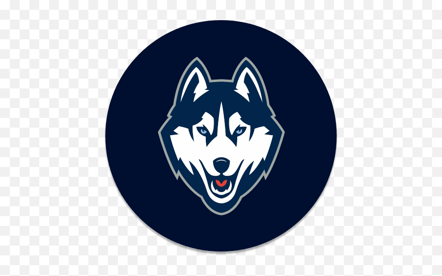 Download Iptv Playlist Android Apk Free - Uconn Huskies Png,Uconn Icon