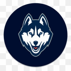 Download Iptv Playlist Android Apk Free - Uconn Huskies png