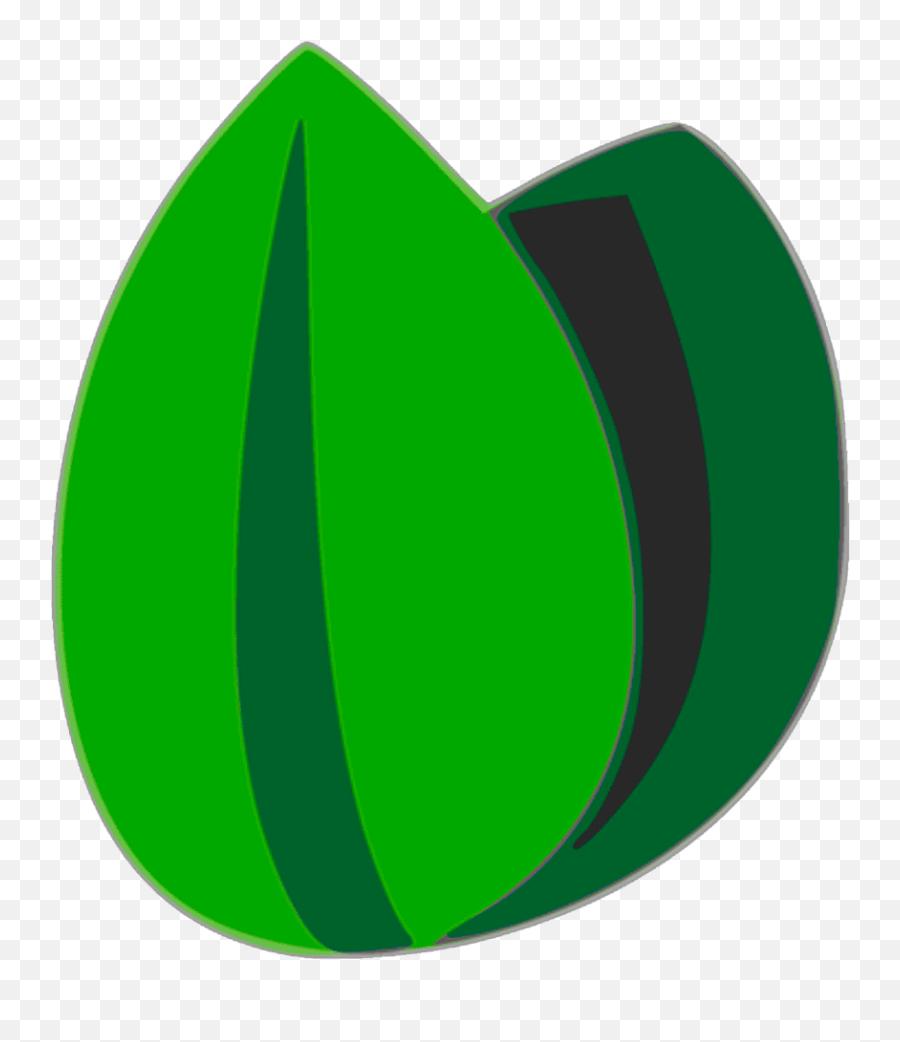 Infoamazonia Earth Journalism Network - Vertical Png,Amazon Trail Icon
