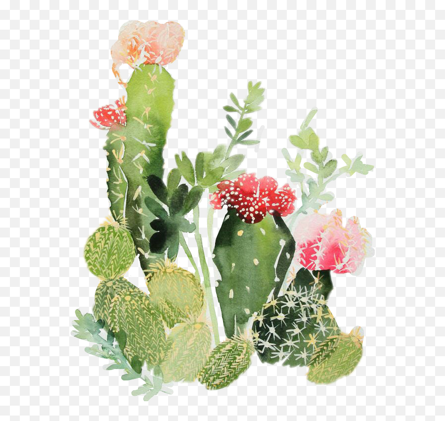 Download Nopales - Watercolor Cactus Png,Watercolor Cactus Png