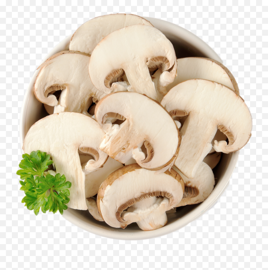 Download Mushrooms Clipart Wallpaper - Mushroom Png Image Mushrooms Png,Mushroom Png