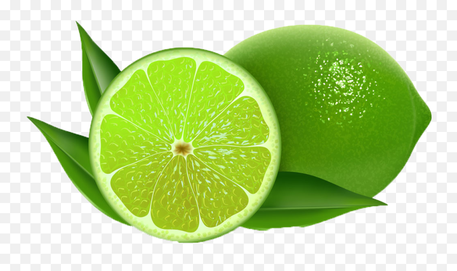 Download Lime Clipart Sweet - Fresh Lemon Clip Art Green Lemon Clipart Png,Lemon Clipart Png