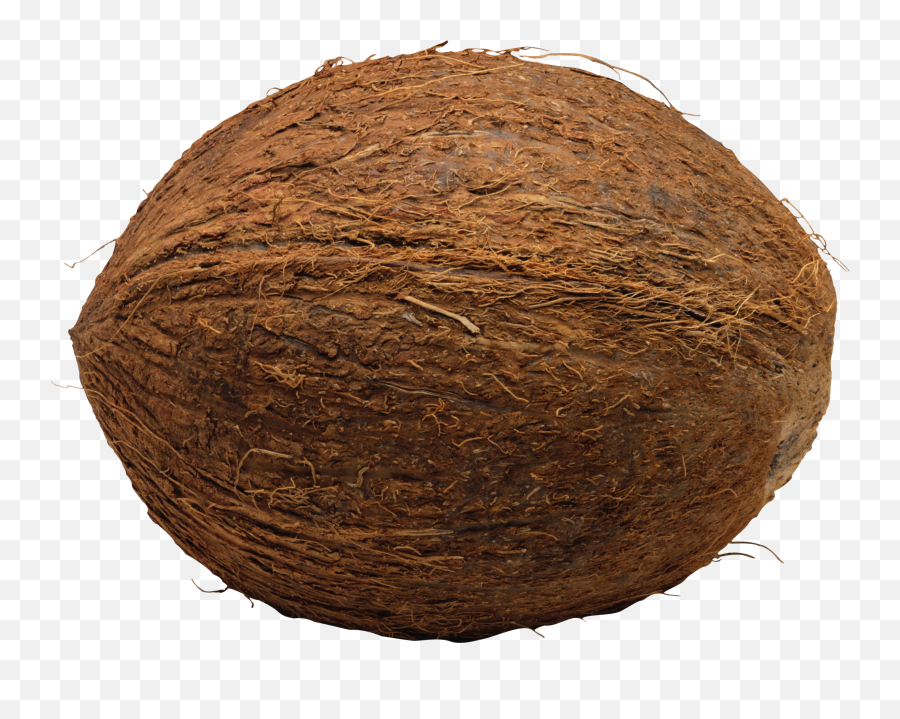Coconut Delicious Fruit Free Png - Coconut Png,Coconut Png