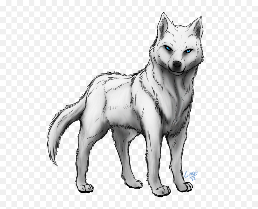 Collection Of Free Wolf Transparent - Czechoslovakian Wolfdog Png,Wolf Transparent