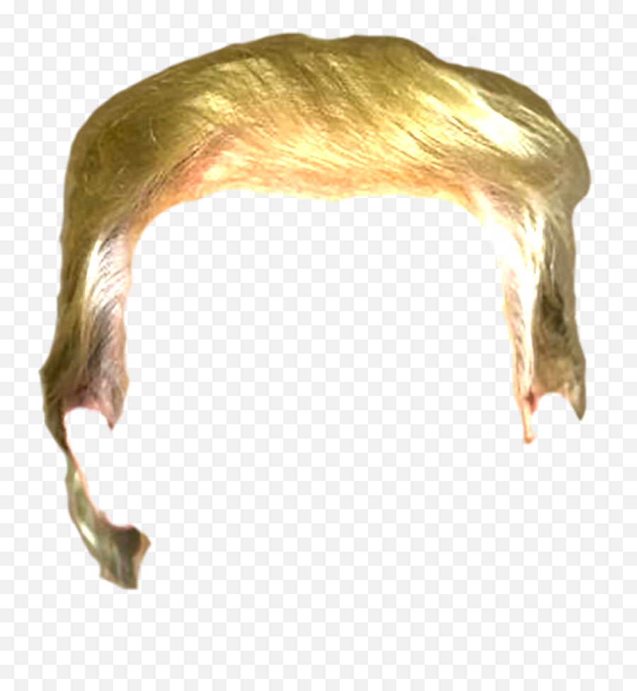 Download Trump Hair Png - Trump Hair Png,Donald Trump Hair Png