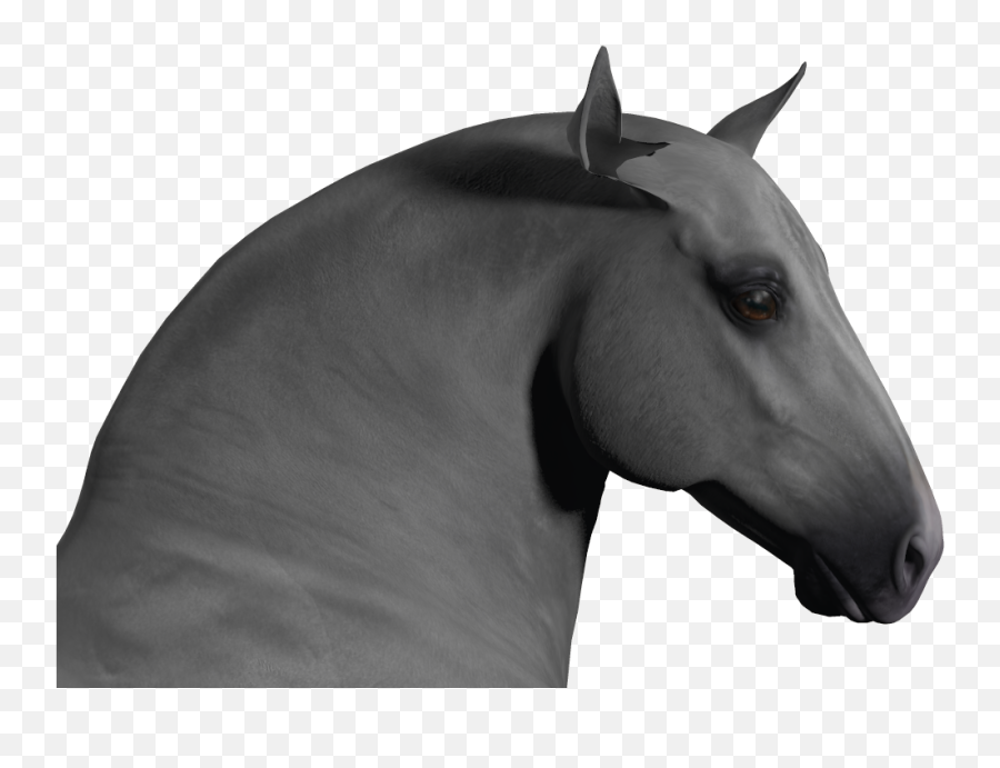 Ears Misbehaving With Draft Horse Morph Hivewire 3d Community - Stallion Png,Ears Png