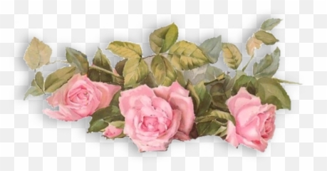In Loving Memory Backgrounds Png - Transparent