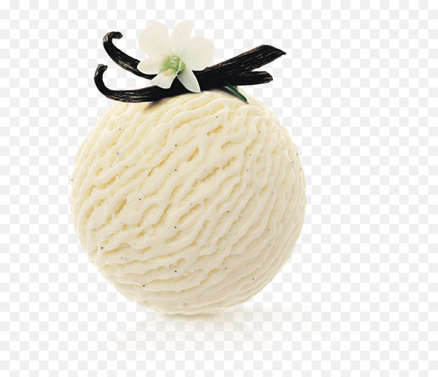 Vanilla - Vanilla Fruit Png,Vanilla Png