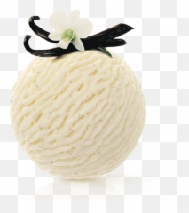 Vanilla - Vanilla Fruit Png,Vanilla Png