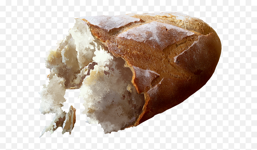 Bread - Official Pathologic Wiki Snow Png,Bread Png