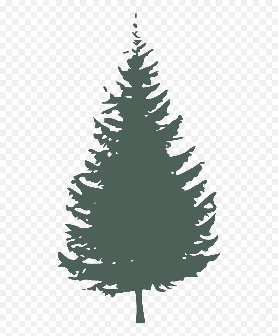 Graygreen Pine Tree Svg Vector Clip Art - Pine Tree Silhouette Png,Pine Tree Branch Png