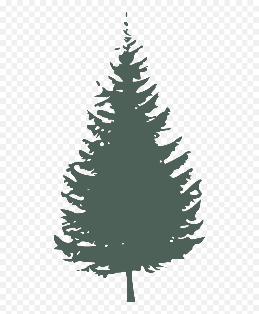 Download Graygreen Pine Tree Svg Vector Clip Art Pine Tree Silhouette Png Free Transparent Png Images Pngaaa Com