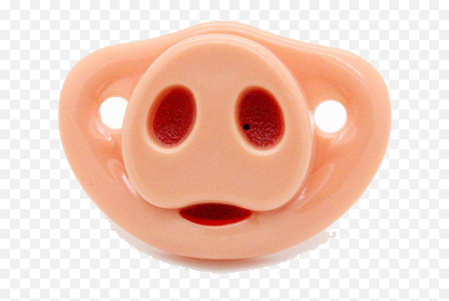 Domestic Pig Nose Pacifier Infant - Pacifier 900x900 Png Domestic Pig,Pacifier Png