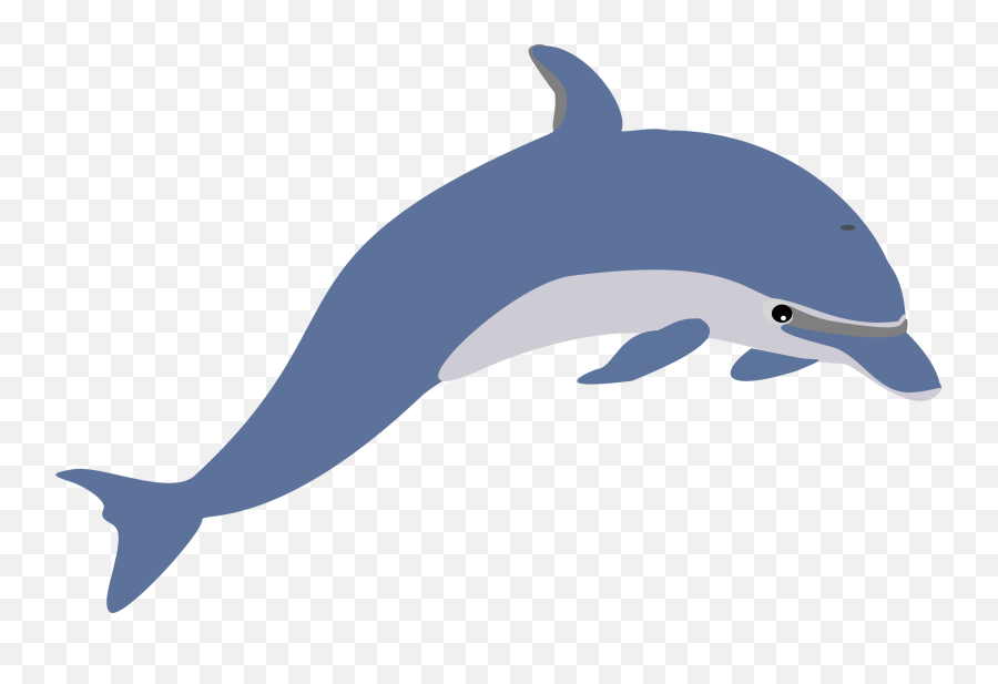 Clipart Dolphin Transparent Background - Transparent Dolphin Clipart Png,Dolphin Transparent Background