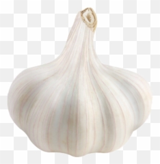 Tags - Elephant Garlic Png,Garlic Png
