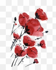 Flower Drawing Png Tumblr - Flowers Inspiration Red Watercolor