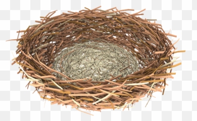 Download Nest Clipart Hq Png Image - Nest Clipart Png,Nest Png