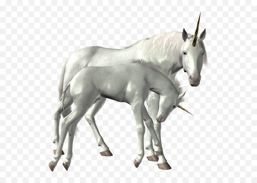 Download Unicorn Png Image For Free - Deviantart Unicorn Png,Transparent Unicorn
