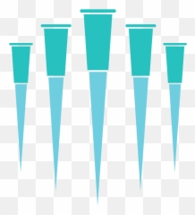 Todos Medical Covid - 19 Test Offering u2013 The Path to Reopen Vertical png
