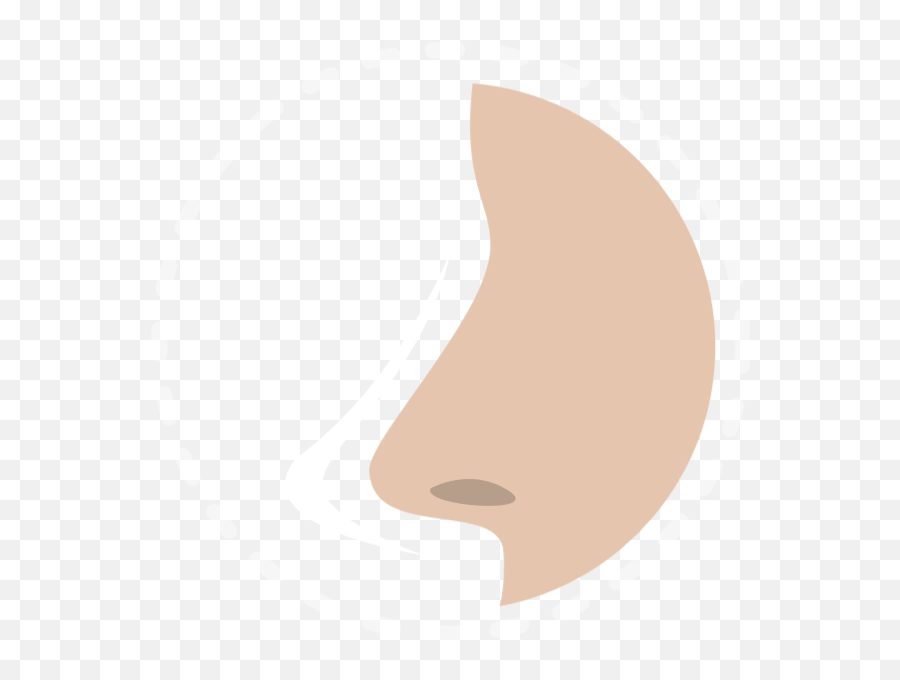 Free Online Nose Tip Icon Vector - Dot Png,Tip Icon Free