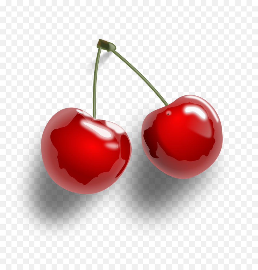Cherry Fruit Png Clipart - Cherries Transparent Background,Fruit Clipart Png