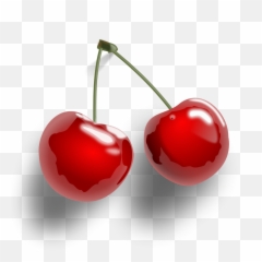 Cherry Fruit Png Clipart - Cherries Transparent Background,Fruit Clipart Png