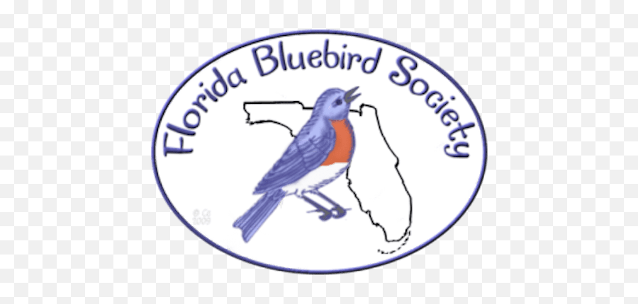 Florida Bluebird Society - Eastern Bluebird Png,Bluebird Icon