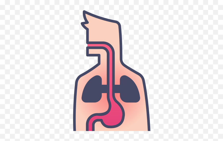 Disease Health Internal Body Human Medical Organ Free - Cuerpo Humano Icon Png,Internal Icon