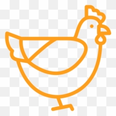 Products - BiosAgri Poultry png