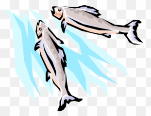 Spawning Salmon Fish Swimming Clipart - Fish Swimming Upstream Clip Art Png,Fish Swimming Png