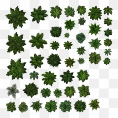 View Transparent Png Clipart Free - Art