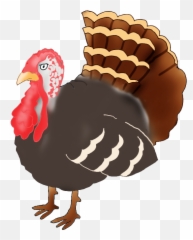 Happy Thanksgiving Clipart - Turkey Drawing Png Transparent