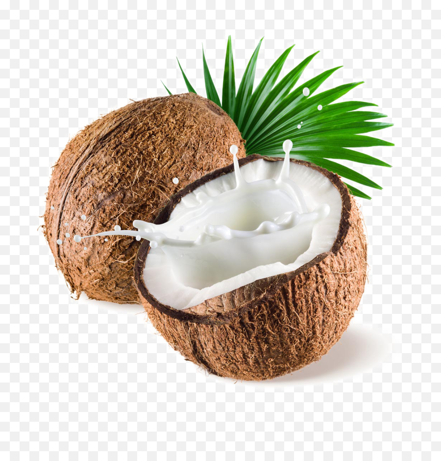 Png Image Transparent Background - Transparent Background Coconut Png,Coconut Png