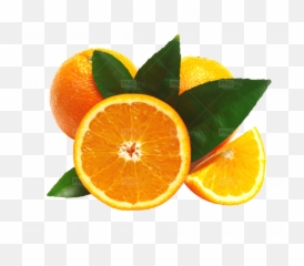 Mixed Fruits Png Free Download - Photo 296 Pngfilenet Fruits And Vegetables,Orange Fruit Png