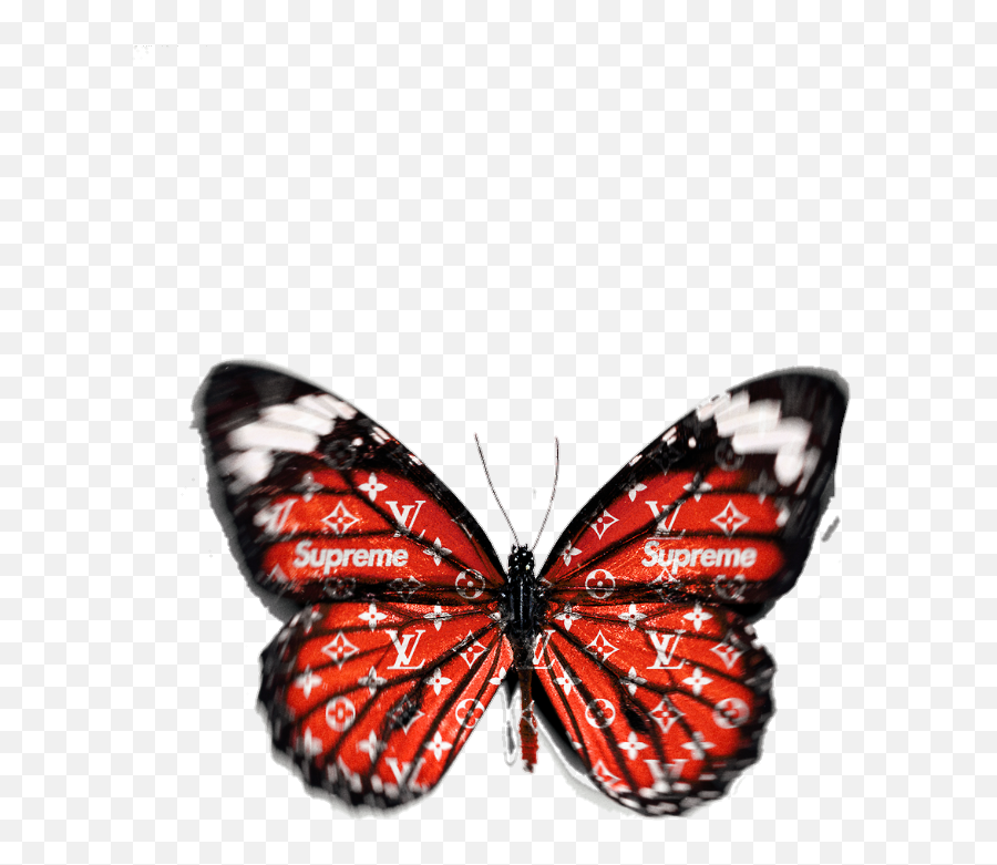 Uploaded - Monarch Butterfly Sticker Png,Mariposa Png