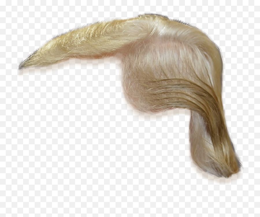 Donald Trump Hair Png Transparent 3 - Trump Wig Png Transparent,Donald Trump Hair Png