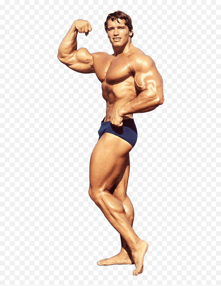 Arnold Schwarzenegger Bodybuilding Png - Body Builder Full Body,Arnold Schwarzenegger Transparent
