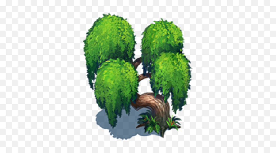 Willow Tree - Tree Png,Willow Tree Png