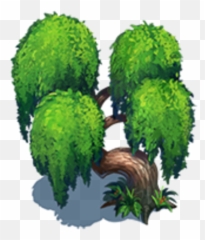 Willow Tree - Tree Png,Willow Tree Png