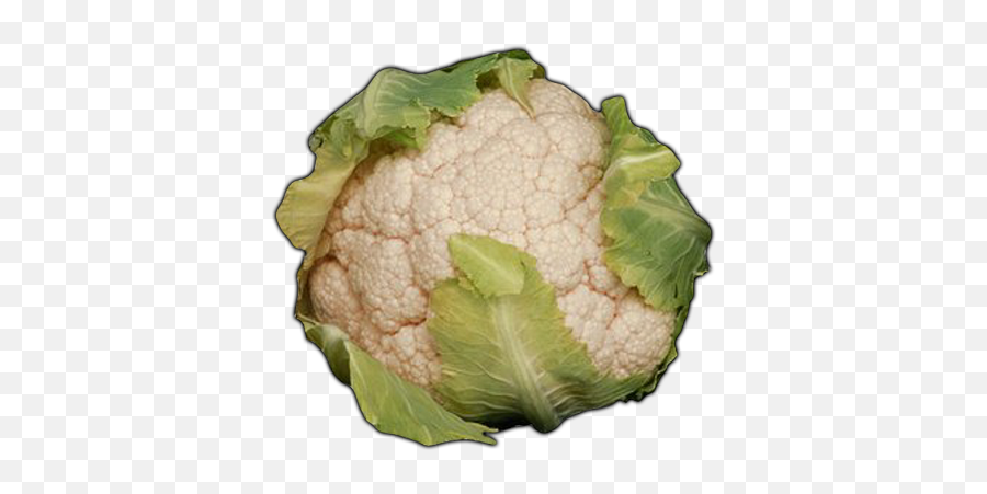 Vegetables - Cauliflower Learn About Cauliflower Cauliflower Png,Cauliflower Png