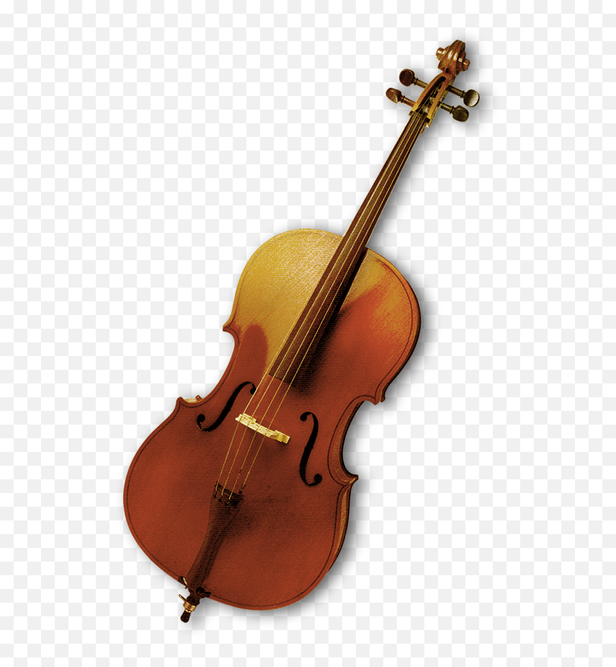 Bass Violin Musical Instrument Viola - Classical Music Instrument Png,Viola Png