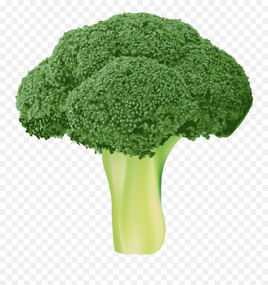 Broccoli Clipart Transparent Background - Clipart Picture Of Broccoli Png,Brocolli Png