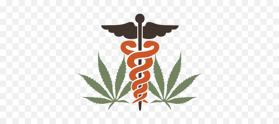 Episode 8 - A Fight For Medical Marijuana With Dolores Halbin Doctor Logo Png Hd,Marihuana Png