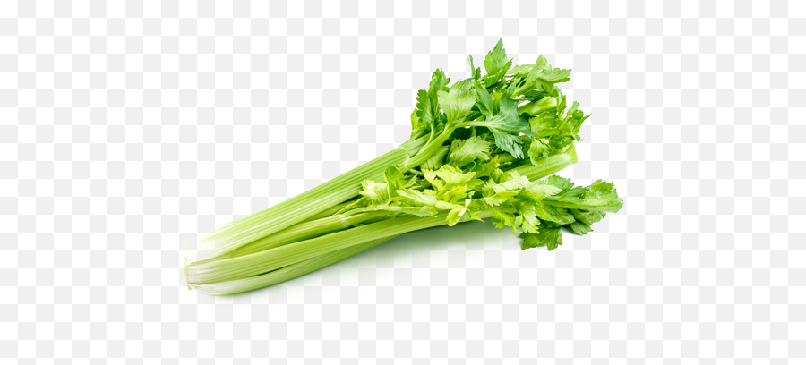 Download Free Png Celery Picture - Celery Vegetables,Celery Png