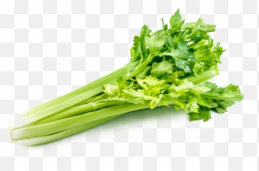 Download Free Png Celery Picture - Celery Vegetables,Celery Png