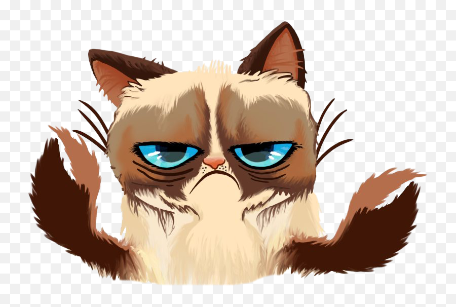 Grumpy Cat Face Png Image - Grumpy Cat Horoscopes,Grumpy Png