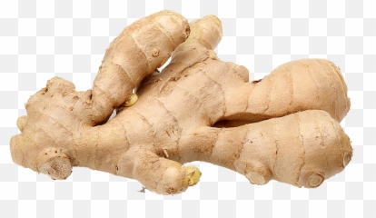 Download Ginger Png Background Clipart - Ginger Png,Ginger Png