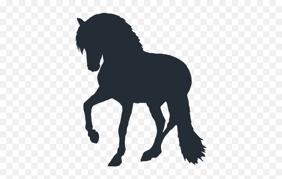 Canadian Hay Ranch - Canadian Horse Logo Png,Stallion Logo