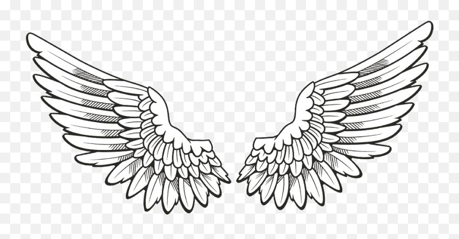 Riyaz14 Wall Wings Photo Editing Background And Png Stock - Angel Wings  Drawing,Png Photo Editing - free transparent png images 